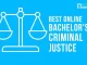 Online Degree Criminal Justice